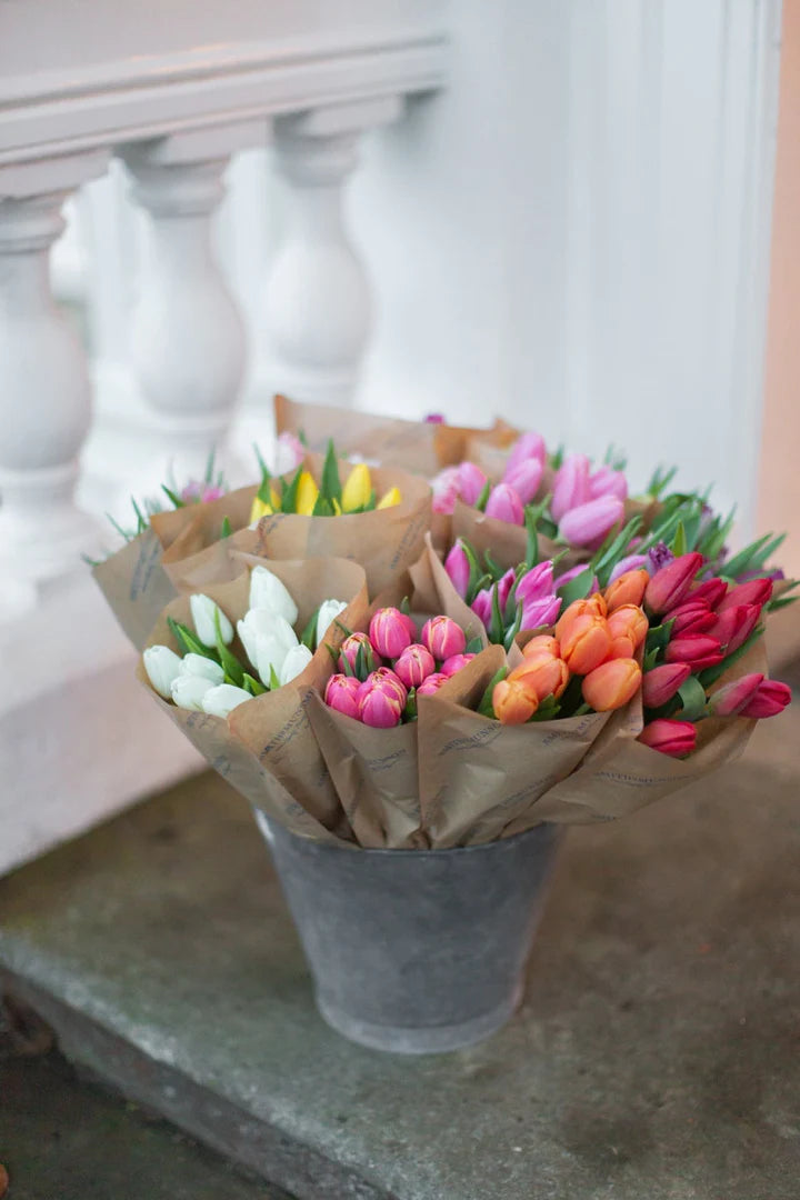 Mother's Day Luxury tulips from Smith & Munson