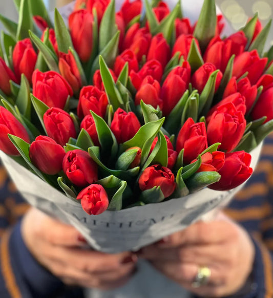 Smith and Munson Christmas Tulips - pre-order for Christmas week