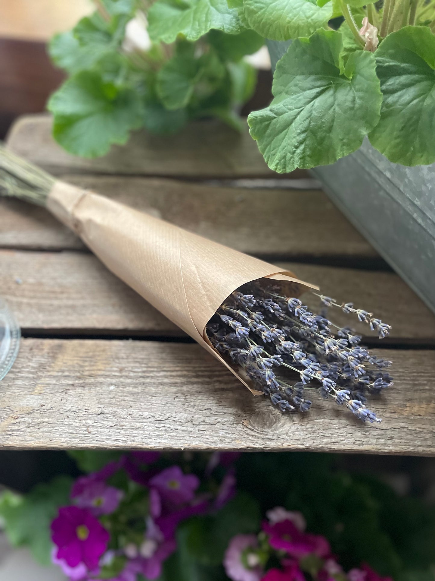 Dried lavender bunch