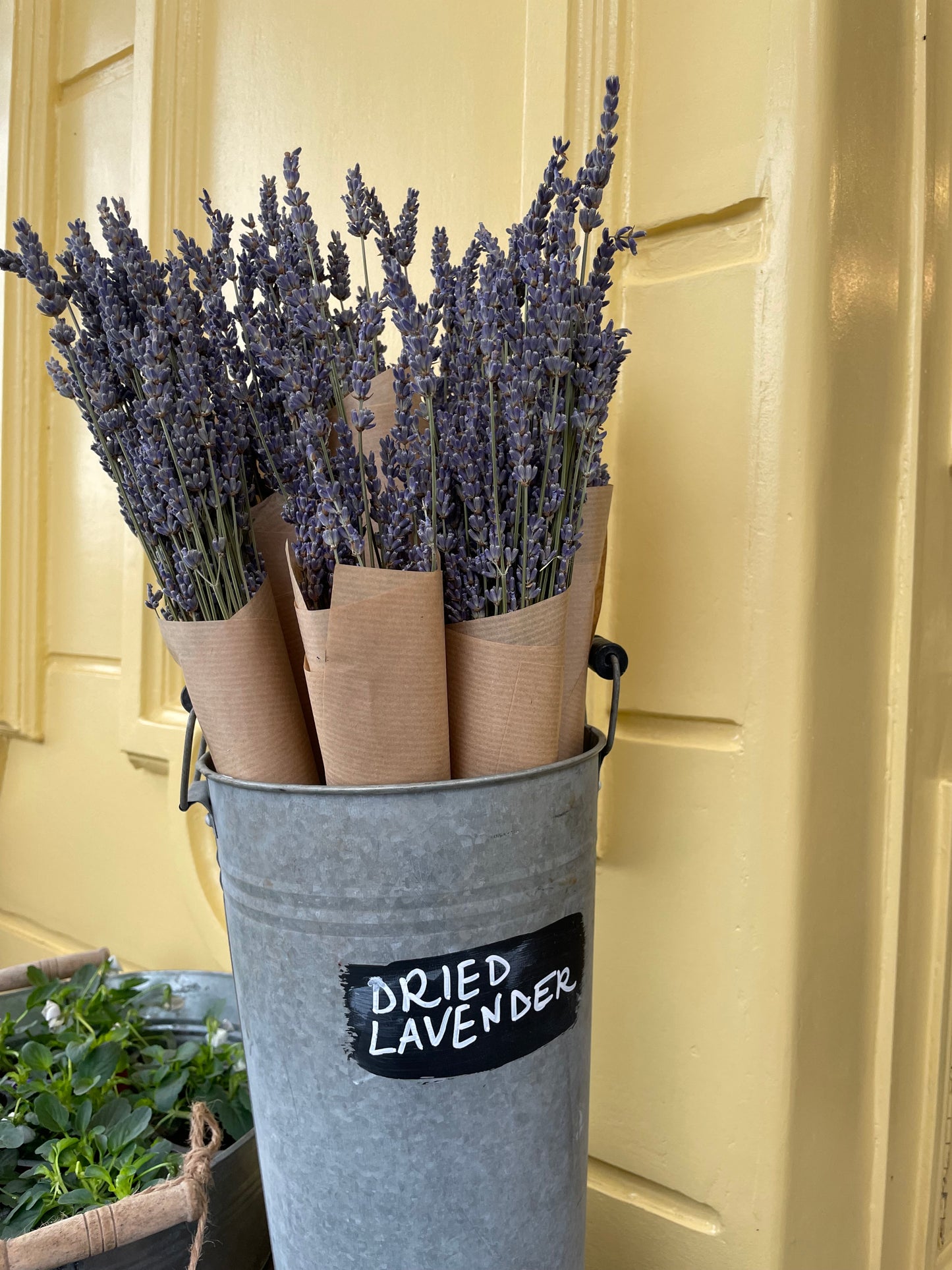 Dried lavender bunch