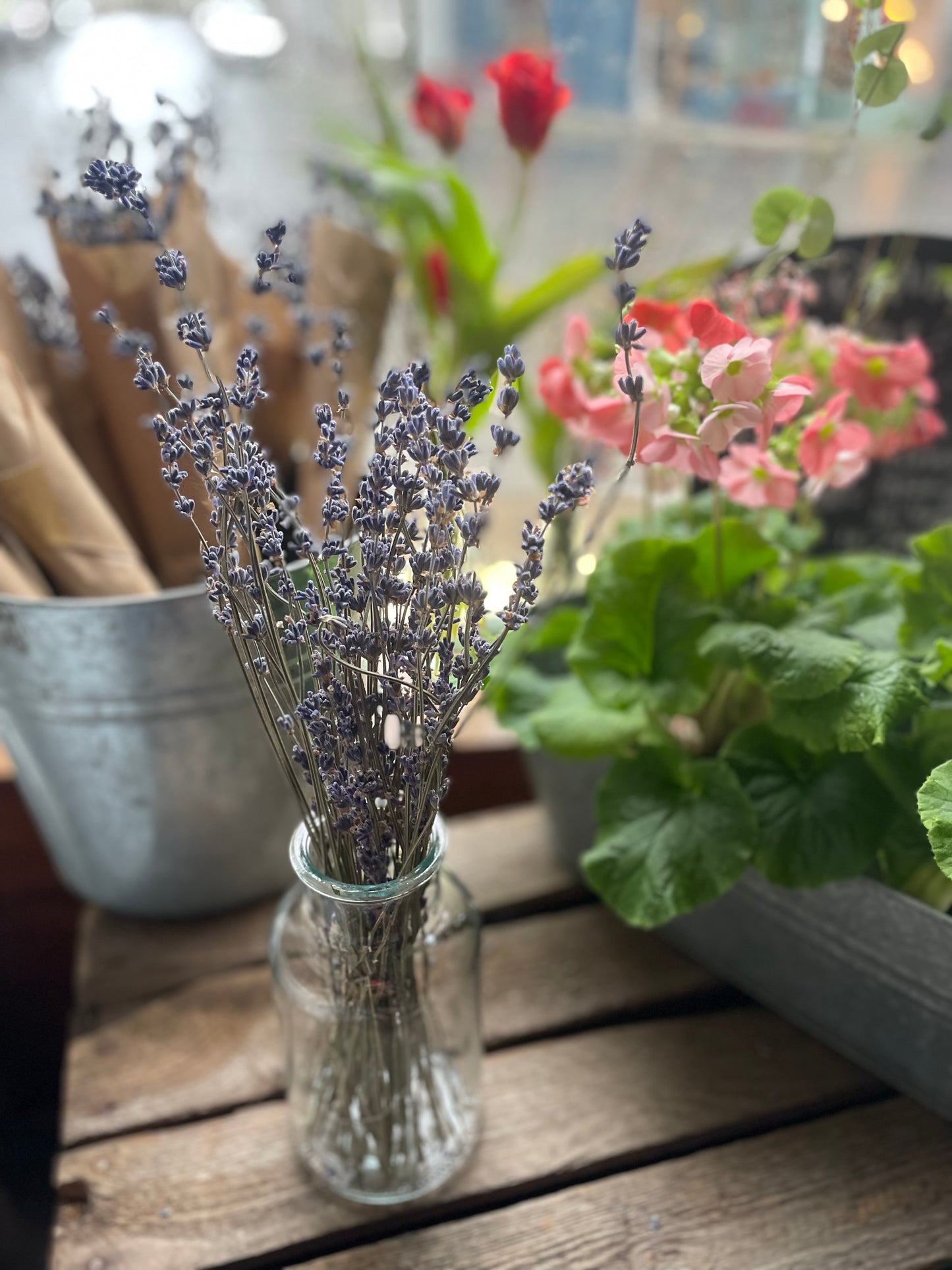 Dried lavender bunch