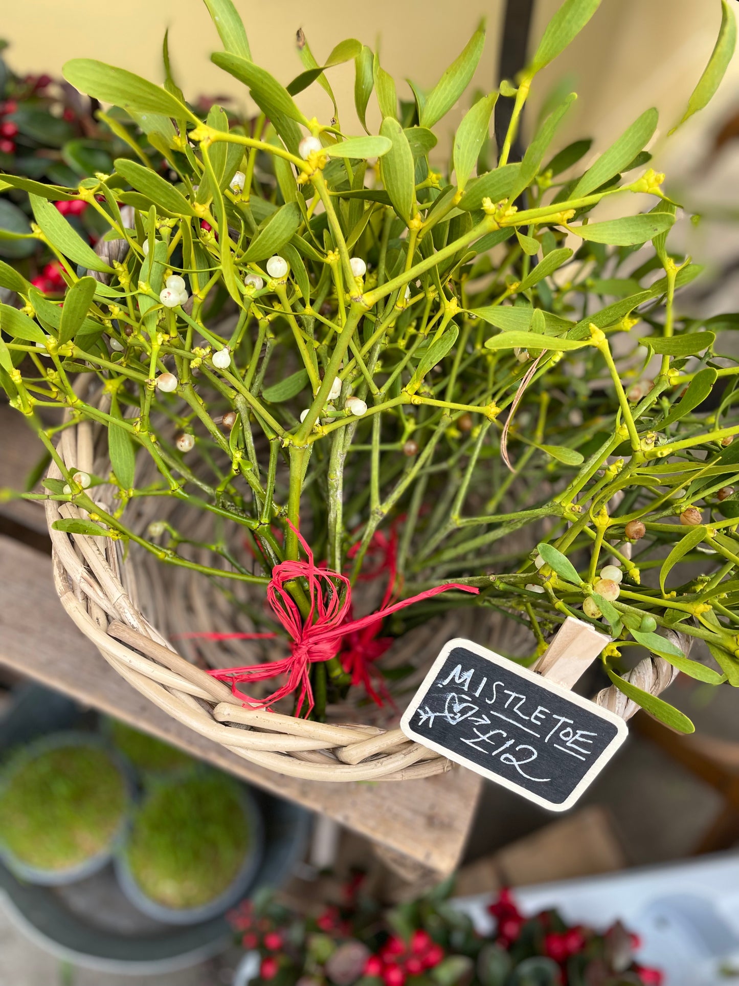 Mistletoe bunch