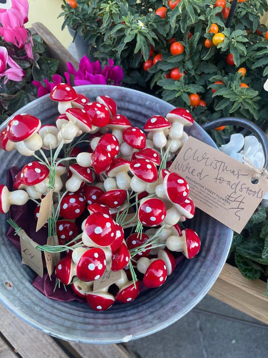 Christmas Toadstools